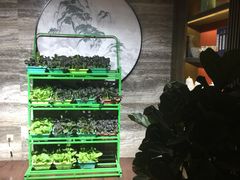 -同庆楼(金宝汇店)