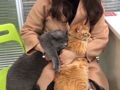 -美美宠物诊疗中心·异宠·骨科(滨江东信分院)