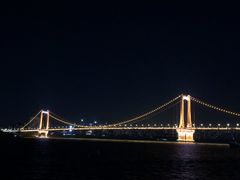-武汉两江游览·夜游长江(汉口粤汉码头)