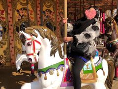 -郑州方特梦幻王国