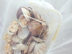 -亿牌牌东北烧烤(博物馆旗舰店)