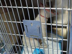 -爱诺耐芙动物医院(万博店)