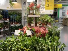 -宜家家居(高新商场店)