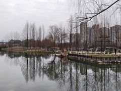 -洋湖国家湿地公园