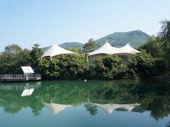 -帐篷客·溪龙茶谷度假酒店