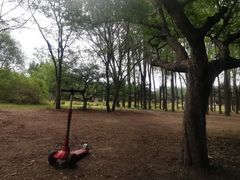 -长春公园(普阳街道)