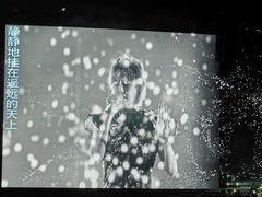 -南京奥林匹克体育中心-体育馆