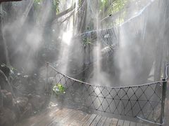 -青青世界