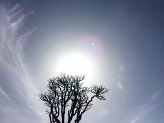-霍顿平原国家公园