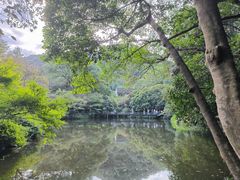 -蜜雪冰城(浙江大学店)