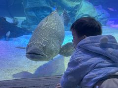 -沈阳海洋探索中心