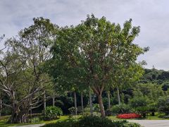 -云溪植物园