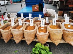 -蒲河大集