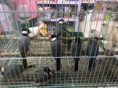 -三旗百汇商品城