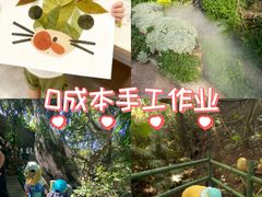 -青青世界