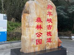 -羚羊峡古栈道森林公园