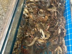 -海草馆自助餐厅(悦海店)