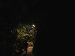 -山顶缆车