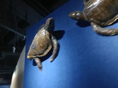 -重庆自然博物馆(新馆)