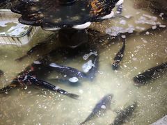 -万里闯关东铁锅炖菜馆(高新旗舰店)