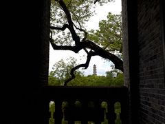 -江心屿景区