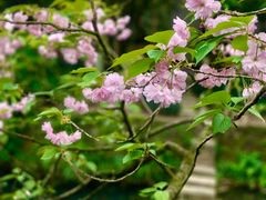 -龙井壹号·茶缘山景宴(龙井村店)