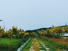 -大连蚂蚁岛度假区