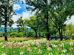 -国家植物园南园