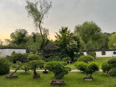 -扬州大运河文化旅游度假区·盆景园