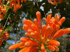 -广州市流溪河国家森林公园