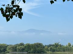-翠湖国家城市湿地公园