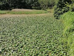 -南国桃园旅游度假区