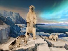 -陕西自然博物馆