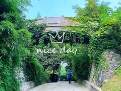 -菊花台公园