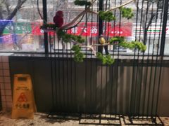 -韩风源自助烤肉(国贸精品店)