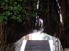 -乌山风景区