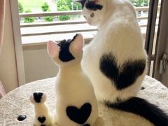 -考拉拉音乐酒吧