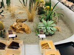 -OUR Bakery(SKP-S店)