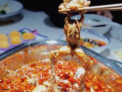 -味之绝美蛙鱼头火锅(高新店)