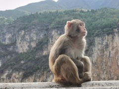 -白帝城·瞿塘峡景区