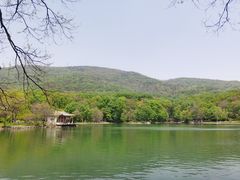 -紫霞湖公园