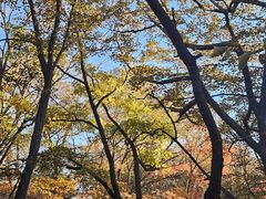 -长春市南湖公园