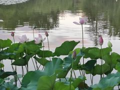 -西安市长乐公园