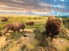 -陕西自然博物馆