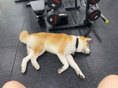 -YCHL Studios健身工作室(市二宫店)