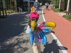 -上海长兴岛郊野公园