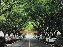 -西南政法大学(渝北校区)