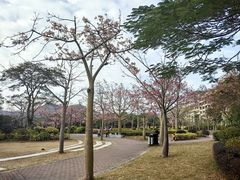 -风云岭森林公园