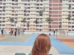 -彩虹村