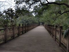 -南山植物园